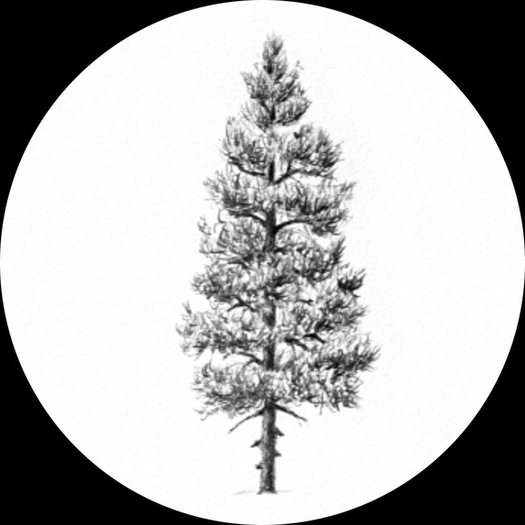 clarejohnson
